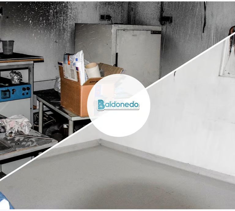 Nettoyage professionnel à Villejuif par Baldonedo